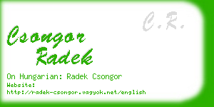 csongor radek business card